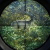 the Hunter: Call of the Wild - Ultimate Hunting Bundle PS5 Mídia Digital