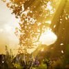 Hellblade: Senua’s Sacrifice PS5 Mídia Digital