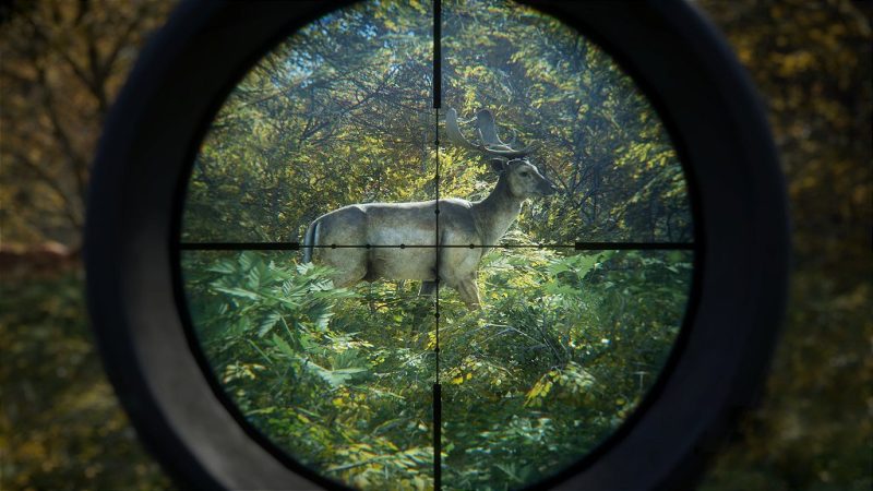the Hunter: Call of the Wild - Ultimate Hunting Bundle PS4 Mídia Digital