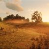 Red Dead Redemption 2 Primária PS5 Mídia Digital