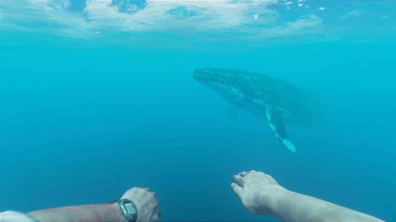 Stranded Deep PS5 Mídia Digital